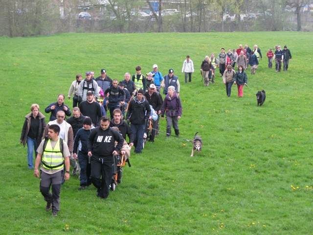 randonnée sportive avec joëlettes, Hotton, 2012